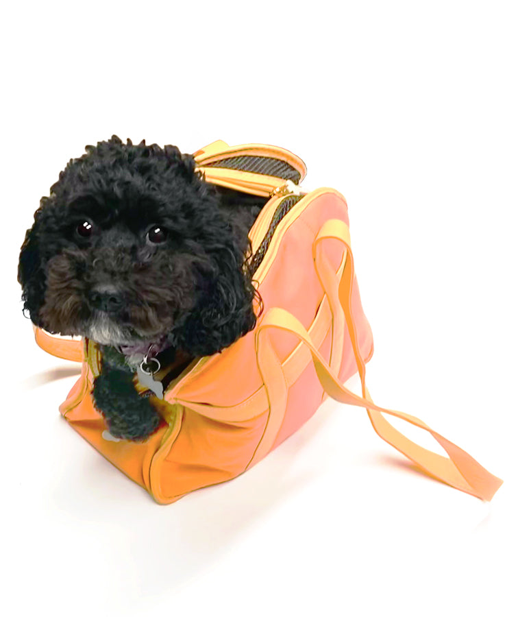 PET Taxi